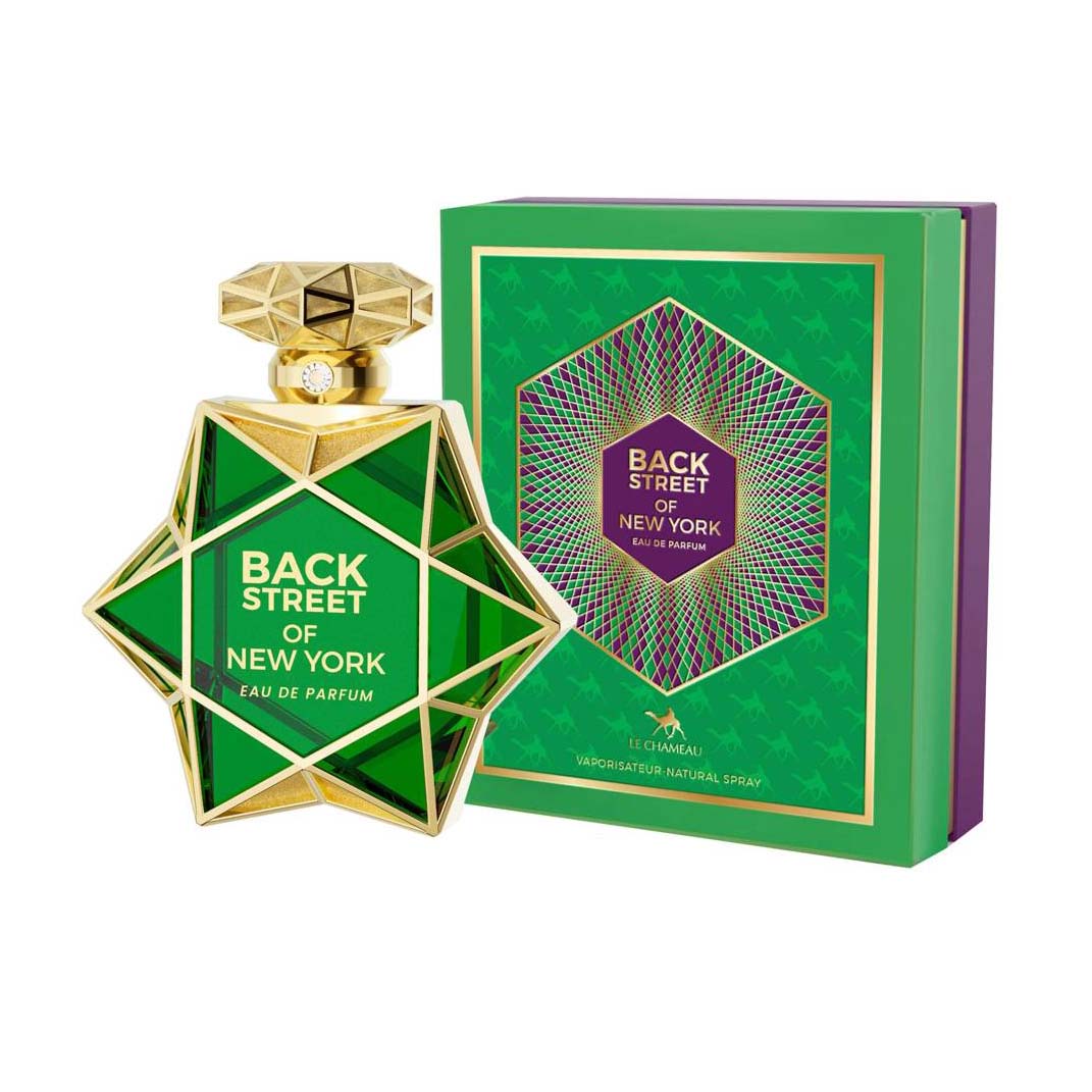 Back Street of New York